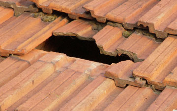 roof repair Daccombe, Devon